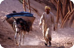 Zagora Photo Gallery