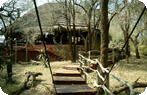 Jaci's Safari Lodge Photo Gallery